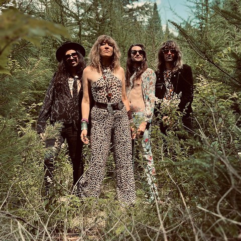 Quatre personnes aux cheveux longs se tiennent dans une forêt entourée de verdure. Elles portent des lunettes de soleil et des vêtements à motifs audacieux, notamment une combinaison à imprimé léopard et des costumes à fleurs, créant ainsi un look rétro d'inspiration rock.