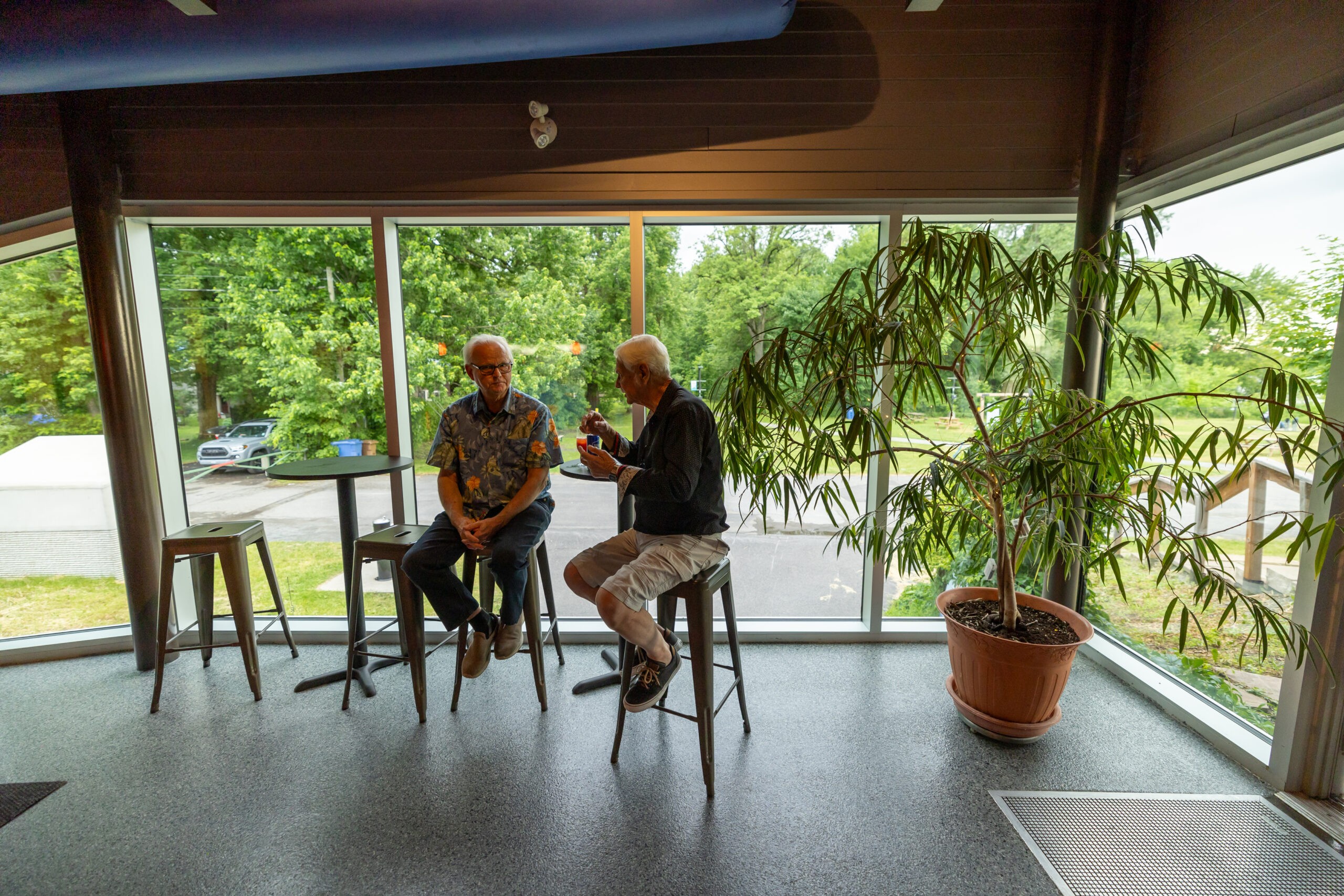 Deux hommes âgés sont assis sur des tabourets et discutent près d'une grande fenêtre avec vue sur la verdure à l'extérieur, à côté d'une grande plante en pot à l'intérieur d'une pièce moderne et lumineuse.
